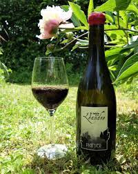 DOMAINE PIGNIER À TABLE AVEC LÉANDRE ROUGE 2020