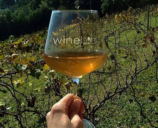 #VEMSERWINEBIO