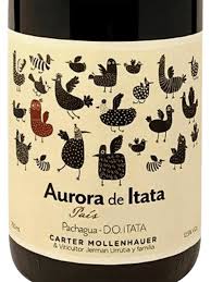VINHOS NATURAIS CHILENOS  - CARTER MOLLENHAUER - AURORA PAIS 2020