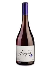 PAGUE 12 GARRAFAS E GANHE MAIS 02 GARRAFAS = TOTAL 14 GARRAFAS - Amayna Pinot Noir 2022