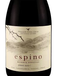 NATURE WINES CAIXA SOMENTE DE 06 GARRAFAS DENTRO DESTA CATEGORIA E GANHE 01 GARRAFA SURPRESA – Vinícola William Fevre Espino Reserva Pinot Noir 2022