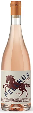 NOVIDADE VINHO LARANJA - ENGUERA PELLNUA NARANJA 2024