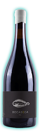 NOVIDADE NATURAIS CHILE – VINOS BOCASECA PAÍS 2021