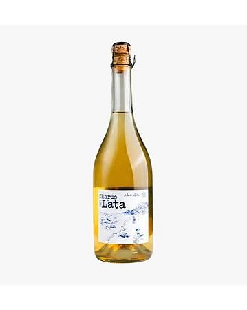 NOVIDADE VINHOS NATURAIS BRASIL - MONTE ASTRAL CHARDÔ DA LATA 2023 ESPUMANTE BRANCO NATURE