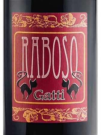 NOVIDADE VINHOS NATURAIS ITÁLIA - RABOSO 2020 MARCA TREVIGIANA IGT - VINHO TINTO SECO
