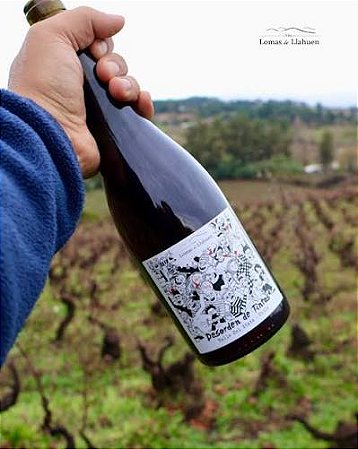 NOVIDADE VINHOS NATURAIS CHILE - DESORDEN DE TINTAS BLEND 2024