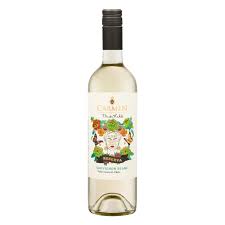 ACABOU DE CHEGAR - VIÑA CARMEN RESERVA FRIDA KAHLO SAUVIGNON BLANC 2025