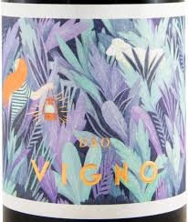VINHOS NATURAIS PORTUGUESES- VIGNO TERROIR BLEND TINTO 2021