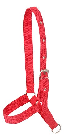 Cabresto de Bezerro novilha - SE190