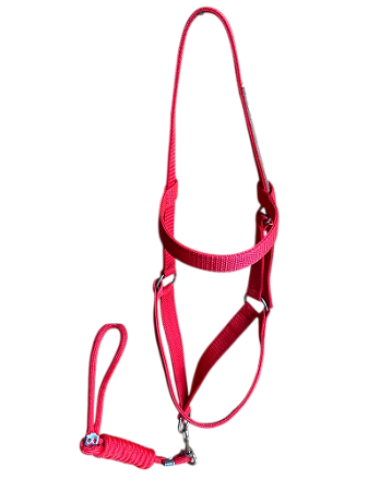 Cabresto de Fita com reforço - SE90