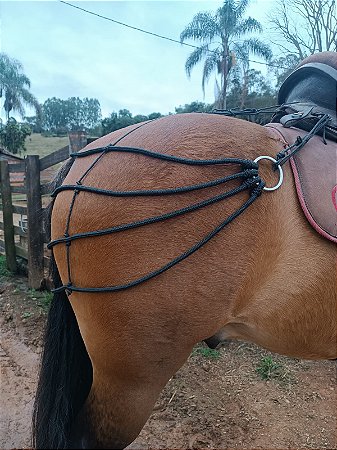 Retranca De Garupa Aranha - SE789