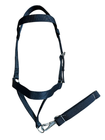 Cabresto De Fita Com Regulagem - SE447