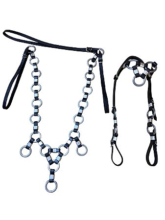 Cabeçada e Peitoral de Couro - SE225