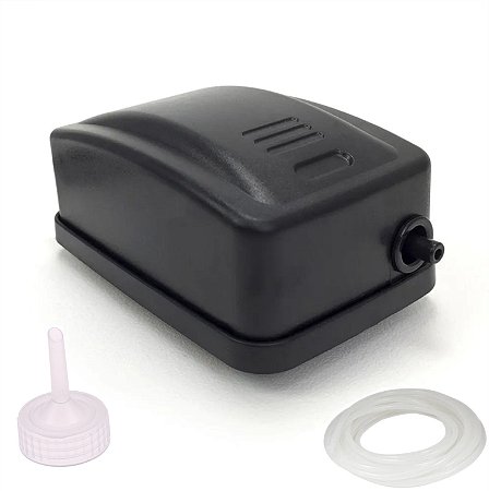 Kit Eclosão BÁSICO