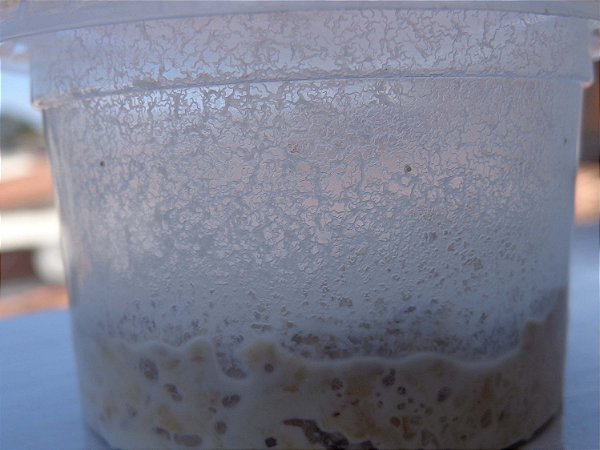 Start de Microvermes