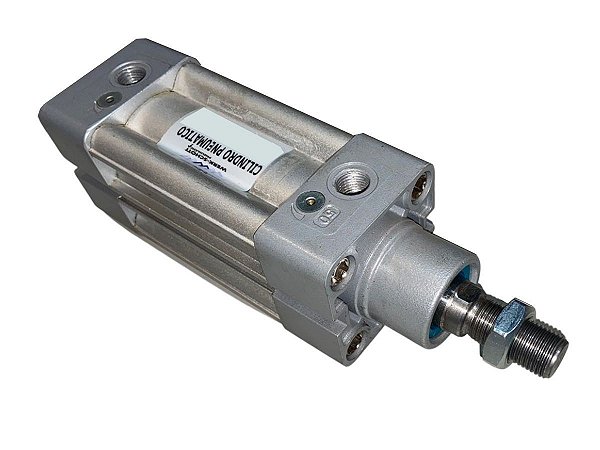 Cilindro Pneumático de Dupla Ação Com Amortecimento Diâmetro 32mm Cursor 100mm – Werk Schott