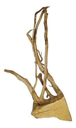Raiz Natural P/aquário/terrário Skrw Nº6 De 36 A 47 Cm
