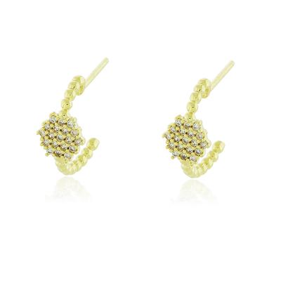 Brinco Argola New Cleide Dourado