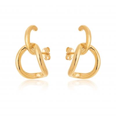 Brinco E. Hook Argola Dourado