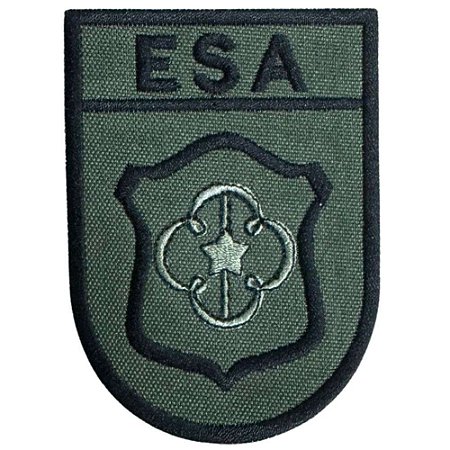 Distintivo de Organização Militar de Baixa Visibilidade - ESA