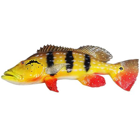 Peixe Tucunaré Paca de Parede 52cm de Resina Ornamental