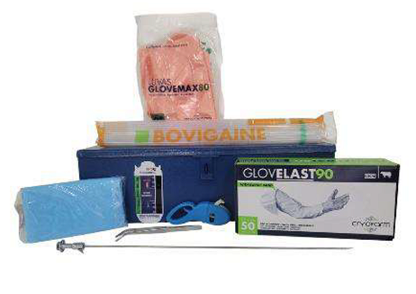 CONJUNTO INSEMINADOR CRYOFARM PREMIUM GADO BOVINO