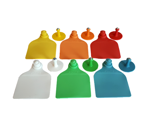 Caixa 50 brinco grande bovino, suíno, caprino e ovino sem marcação + macho de ponta metálica