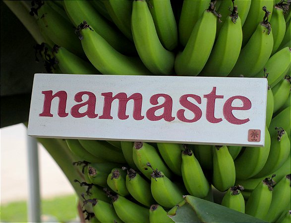 Placa Namaste