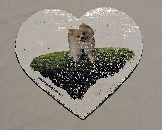 camiseta lantejoula personalizada