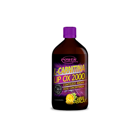 L-CARNITINA POWER SUPLEMENTS - 480ML