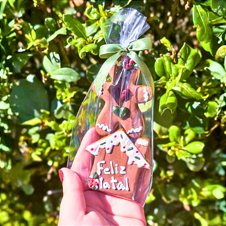 Biscoito Mel Casa Ginger 2PCS SY