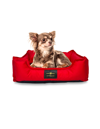 Cama Pet Cachorro & Gato - Impermeável- Nylon- P- Vermelho