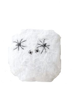 Halloween Teia de Aranha