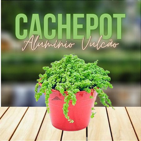 VASOS ALUMÍNIO (CACHEPOT)