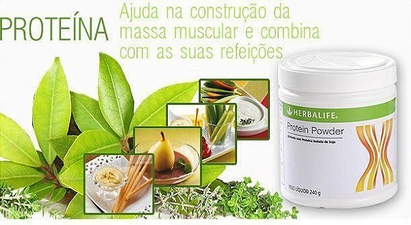 PROTEÍNA 240G