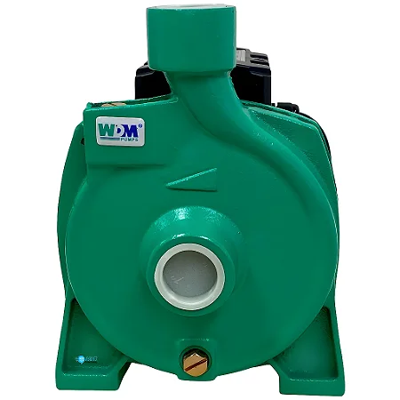 Bomba Centrifuga RE 1 WDM 1,0CV IP44 Monofásico 127/220V 60HZ