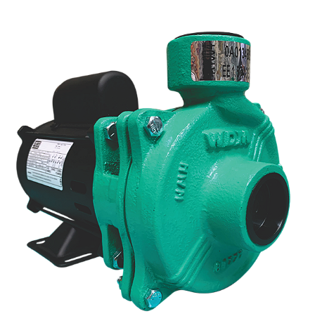 Bomba Centrifuga EE 1.5 WDM 1,5CV IP21 Monofásica 110/127/220/254V 60HZ