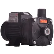 Bomba Centrífuga Thebe B-12 P 1/2CV Monofásica 127/220V IP55 RT105