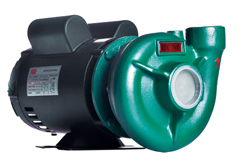 Bomba Centrífuga Thebe THB-13 1,0CV IP55 Monofásica 127/220V RT 105