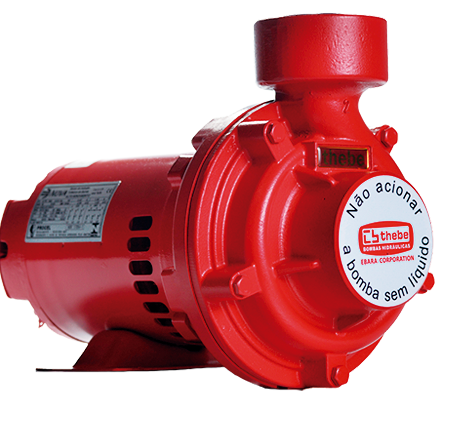 Bomba Thebe THI-13 3,0CV IP21/IR3 Monofásica 127/220V RT125 Motor Nova