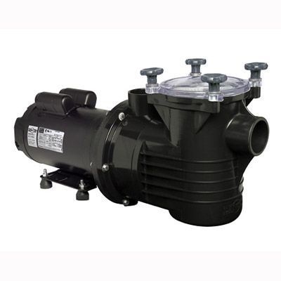 Bomba para Piscina PF-22 1,5CV Trifásico 220/380 V Dancor