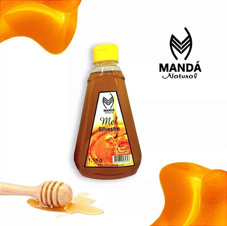 Mel Puro Silvestre 1,1 kg Abelha Apis Europa