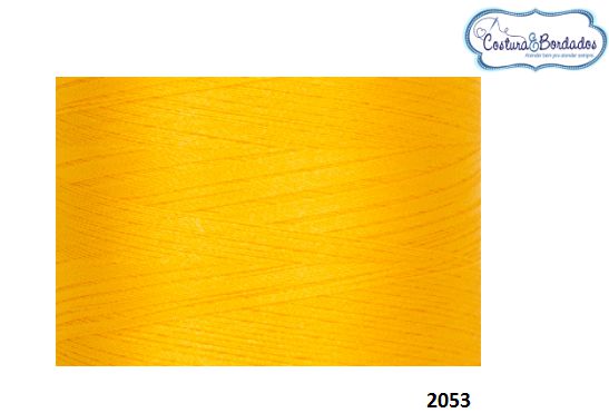 Linha De Bordados Ricamare Cone De 4 Mil Metros A 2053