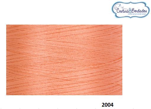 Linha De Bordados Ricamare Cone De 4 Mil Metros J 2004