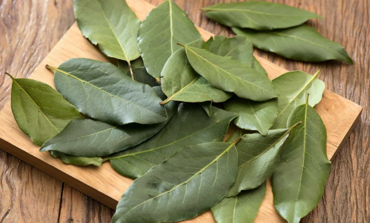 Folha de Louro 50g - Ultra Empório