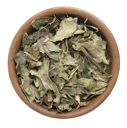 Chá de Guaco 100Gr