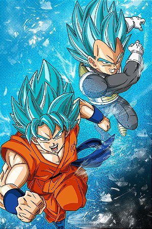 Quadro Dragon Ball  - Goku e Vegeta Azul