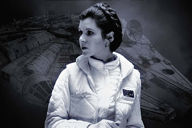 Quadro Star Wars - Princesa Leia Falcon