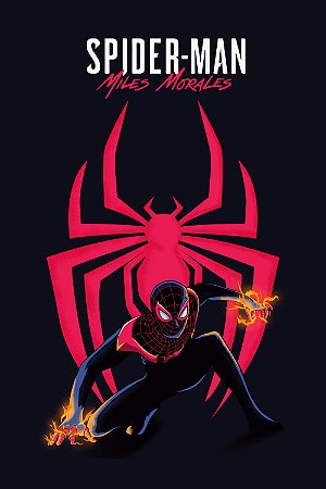 Quadro Homem Aranha - Miles Morales