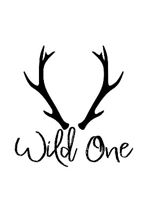 Quadro com Frase - Wild One